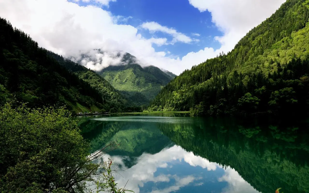 高效智能化